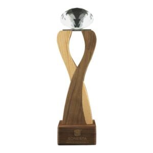 Wooden Trophy with Diamond Crystal on Top