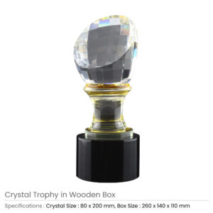 Crystal Glass Trophy in Wooden Box