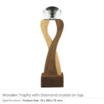 Wooden Trophy with Diamond Crystal Top