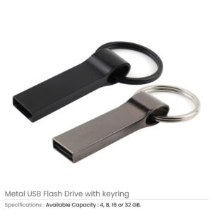 Stainless USB Flash with Key Ring | Metal USB with Key Chain