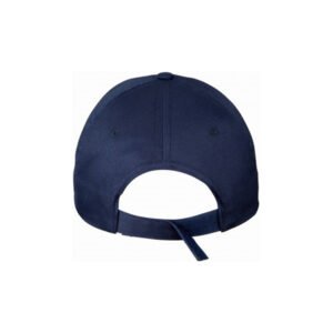 ACC 5 Panel Heavy Brushed Cap