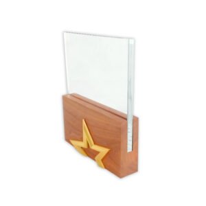 Star Crystal Award with Wood Base | Crystal Souvenir
