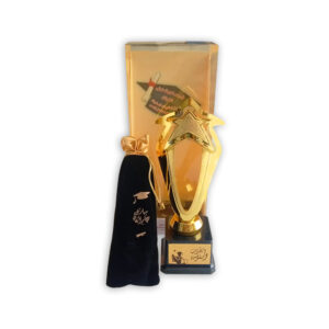 Golden Star Trophy Fine Finish | Plastic Trophy Awards with Base for Part | Competition Decoration Gift Awards