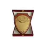 Wooden Plaque with Gold Plate | Wooden Plaque Award with Wooden Box