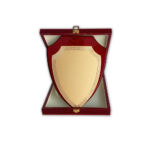 Wooden Plaque Award with Gold Plate | Wooden Plaque Award with Wooden Box