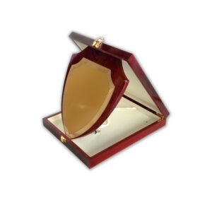 Wooden Plaque Award with Gold Plate | Wooden Plaque Award with Wooden Box