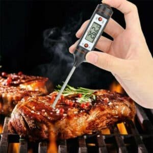 Electronic Kitchen Digital BBQ Thermometer | Pen Style Meat Food Cooking Oven Thermometer | WT-1 Portable BBQ Thermameter